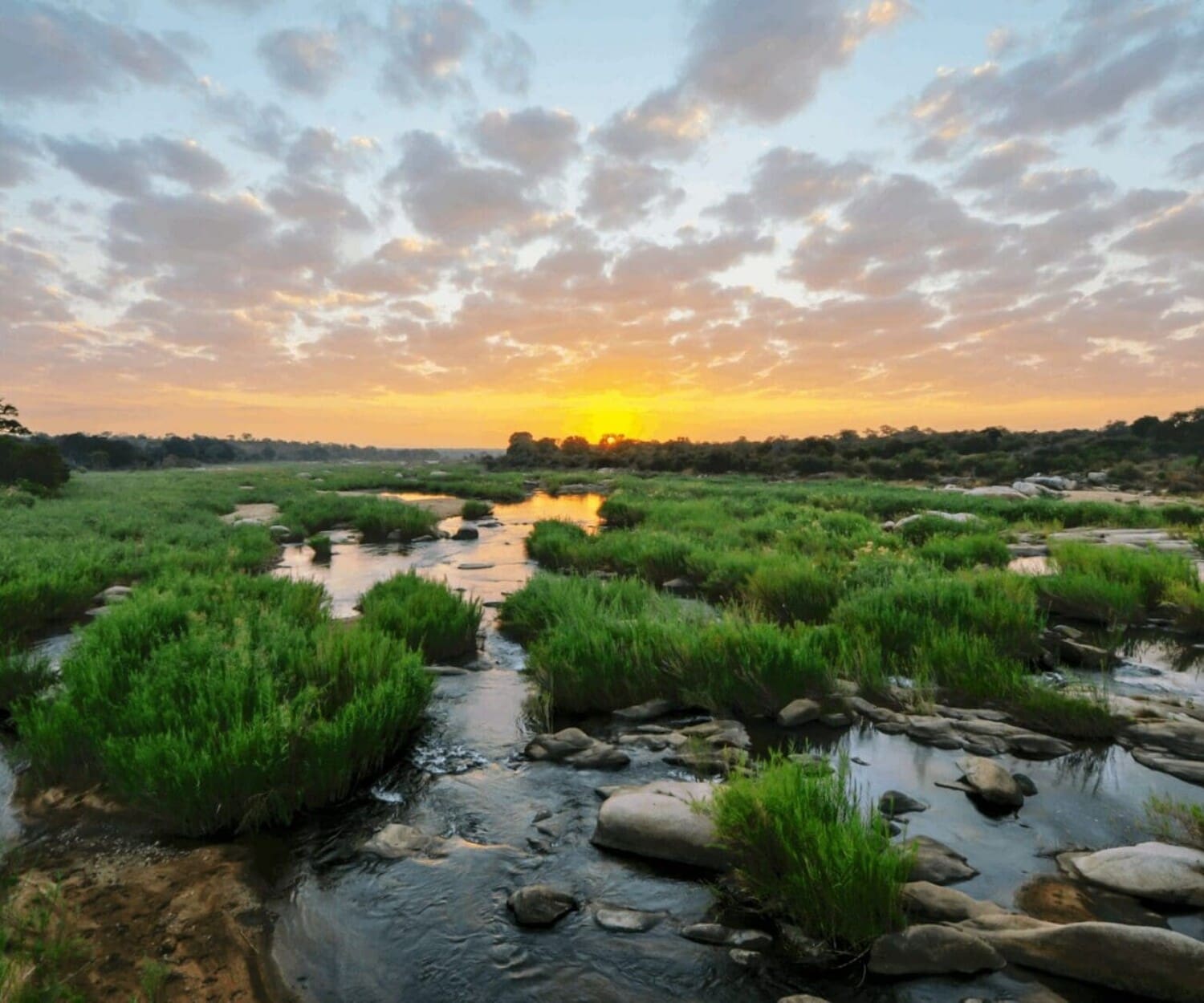 Best time to visit Johannesburg and Kruger Park and see a sunrise.