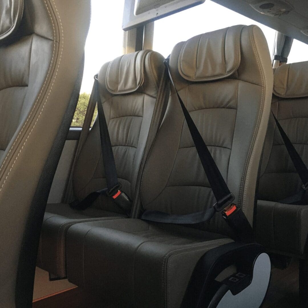 Ergonomic Reclining Leather Coach Seating Detail